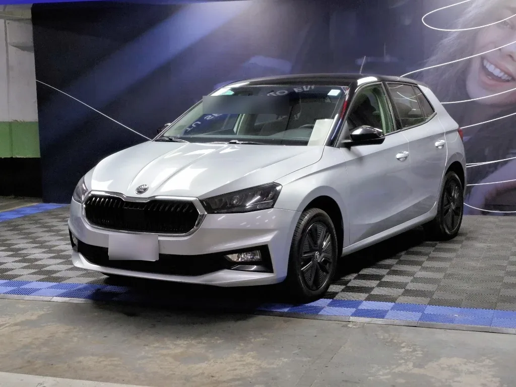 Skoda Fabia 1.0 Tsi Mt - Ambition año 2023