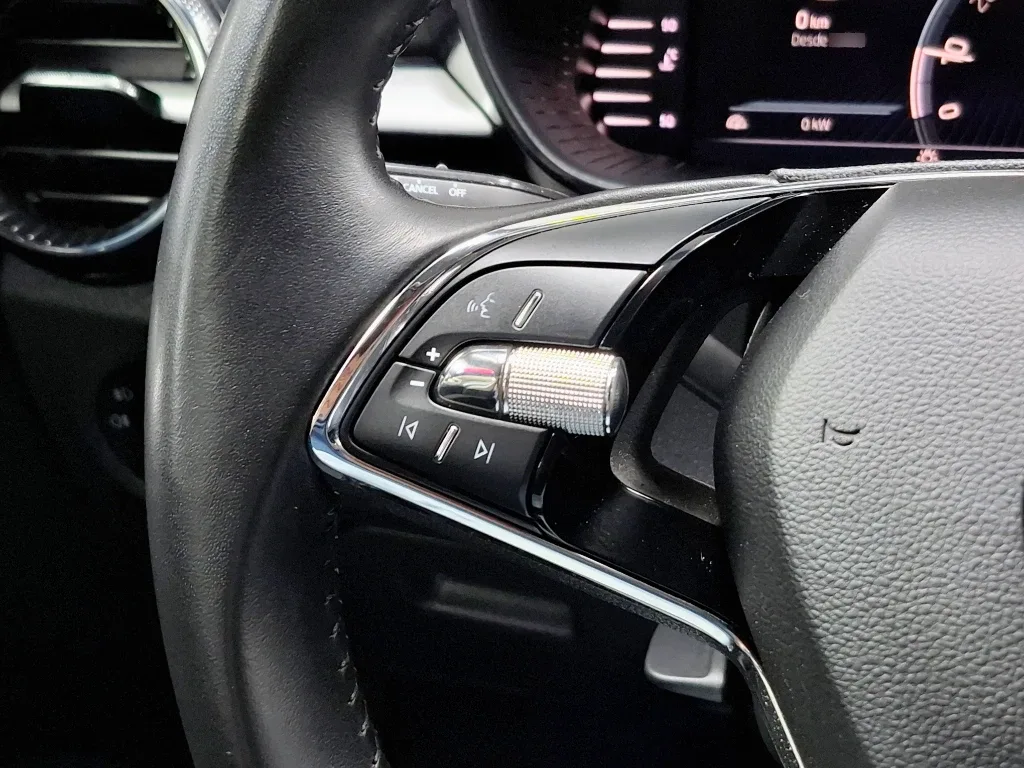 Skoda Fabia 1.0 Tsi Mt - Ambition año 2023