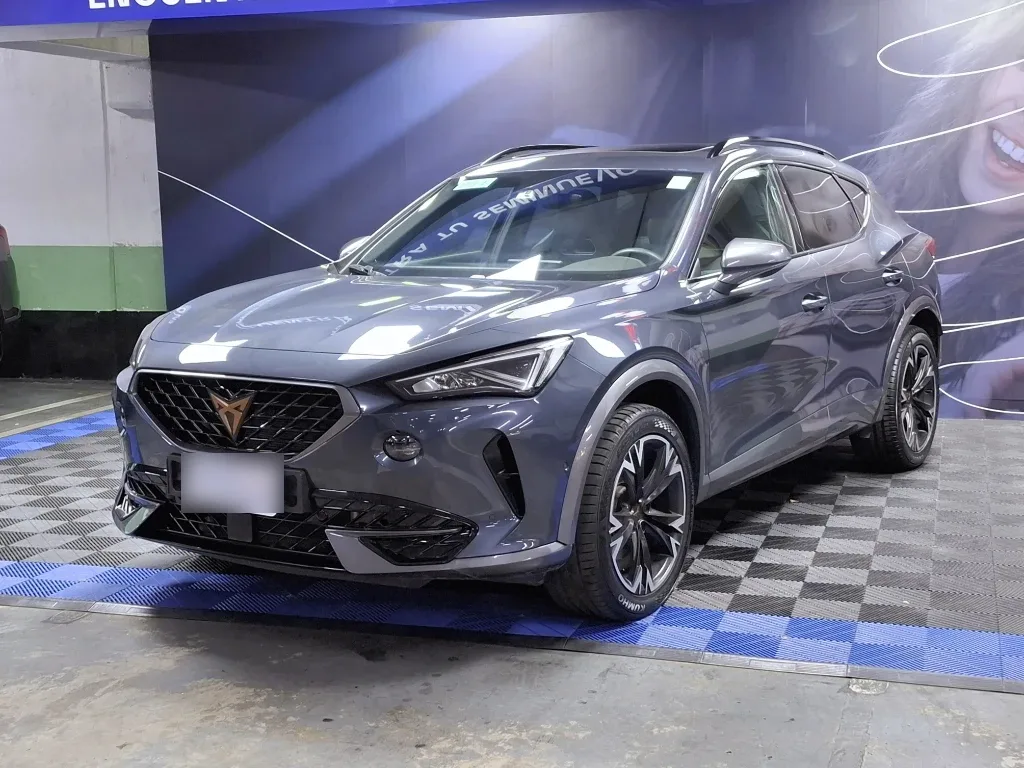 Cupra Formentor Formentor 2.0 Tsi 190 Hp año 2024
