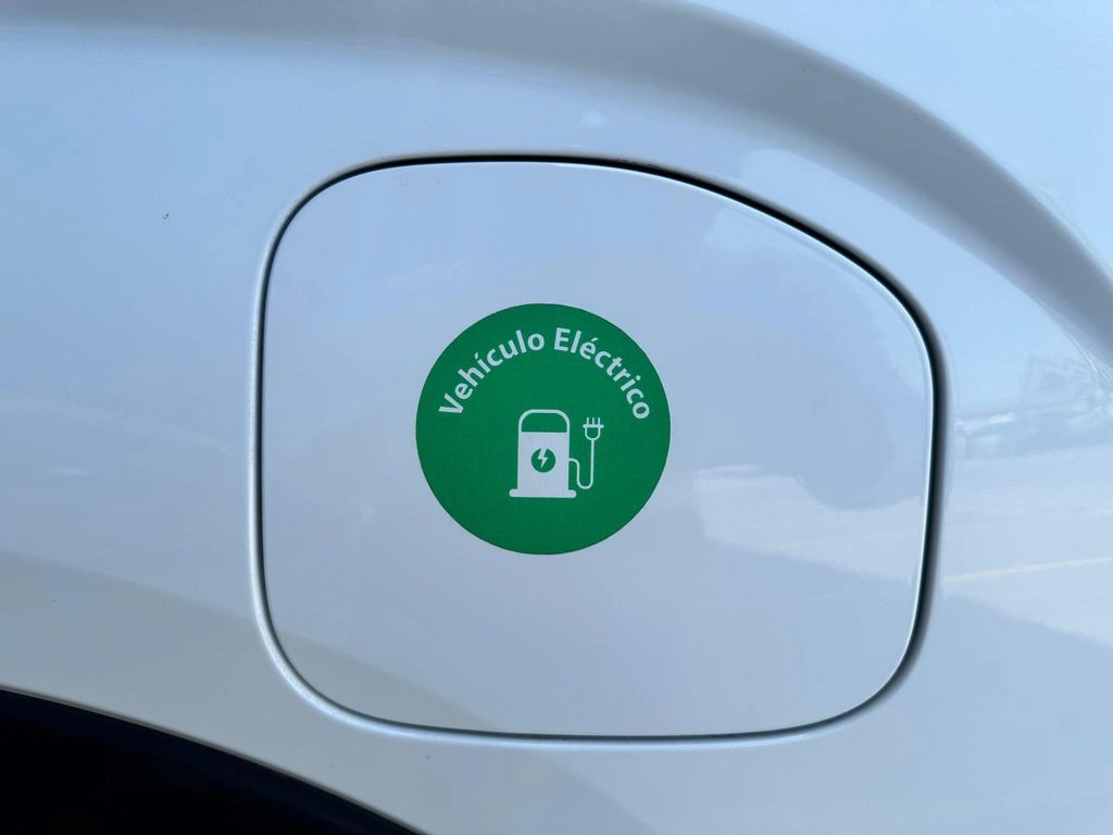 Riddara Rd6 4x2 Air 63 Kwh año 2025