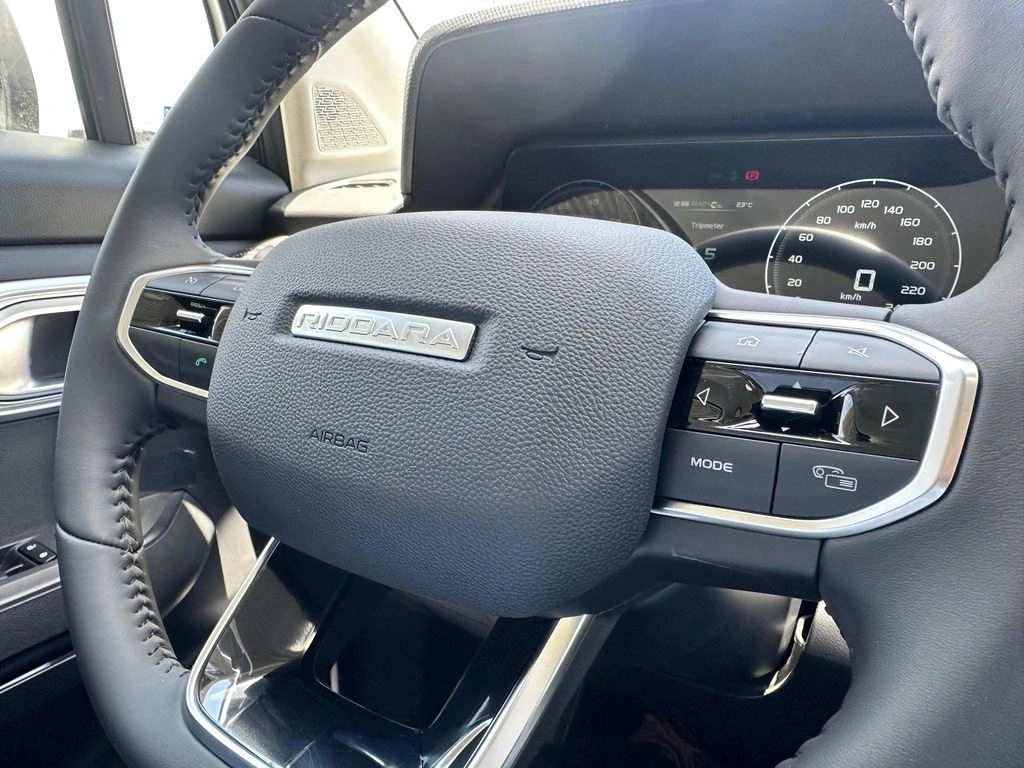 Riddara Rd6 4x2 Air 63 Kwh año 2025