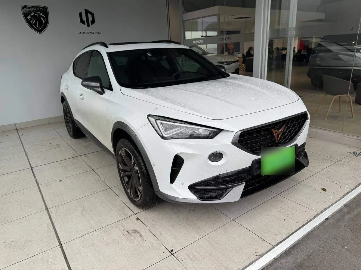 Cupra Formentor 2.0 Tsi 4x2 At 5p año 2024