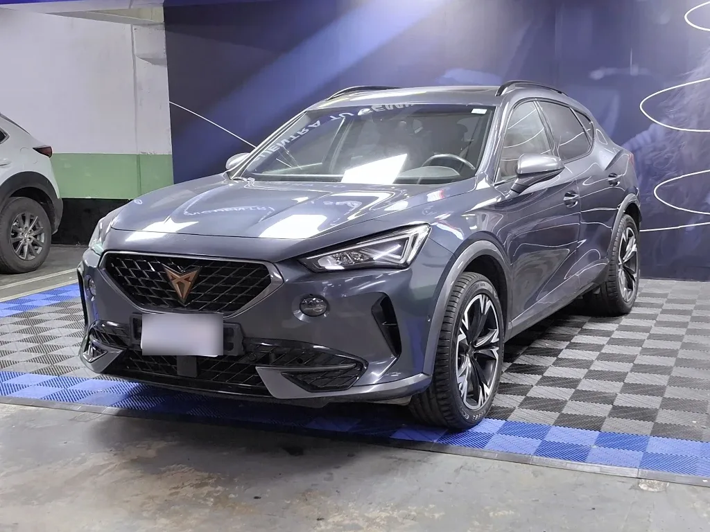 Cupra Formentor Formentor 2.0 Tsi 190 Hp año 2023