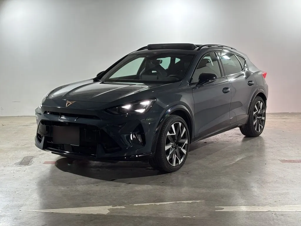 Cupra Formentor Pa 4x4 2.0 Aut año 2025