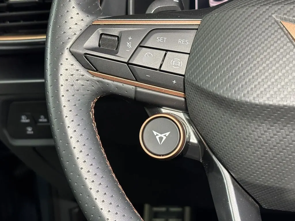 Cupra Formentor Pa 4x4 2.0 Aut año 2025