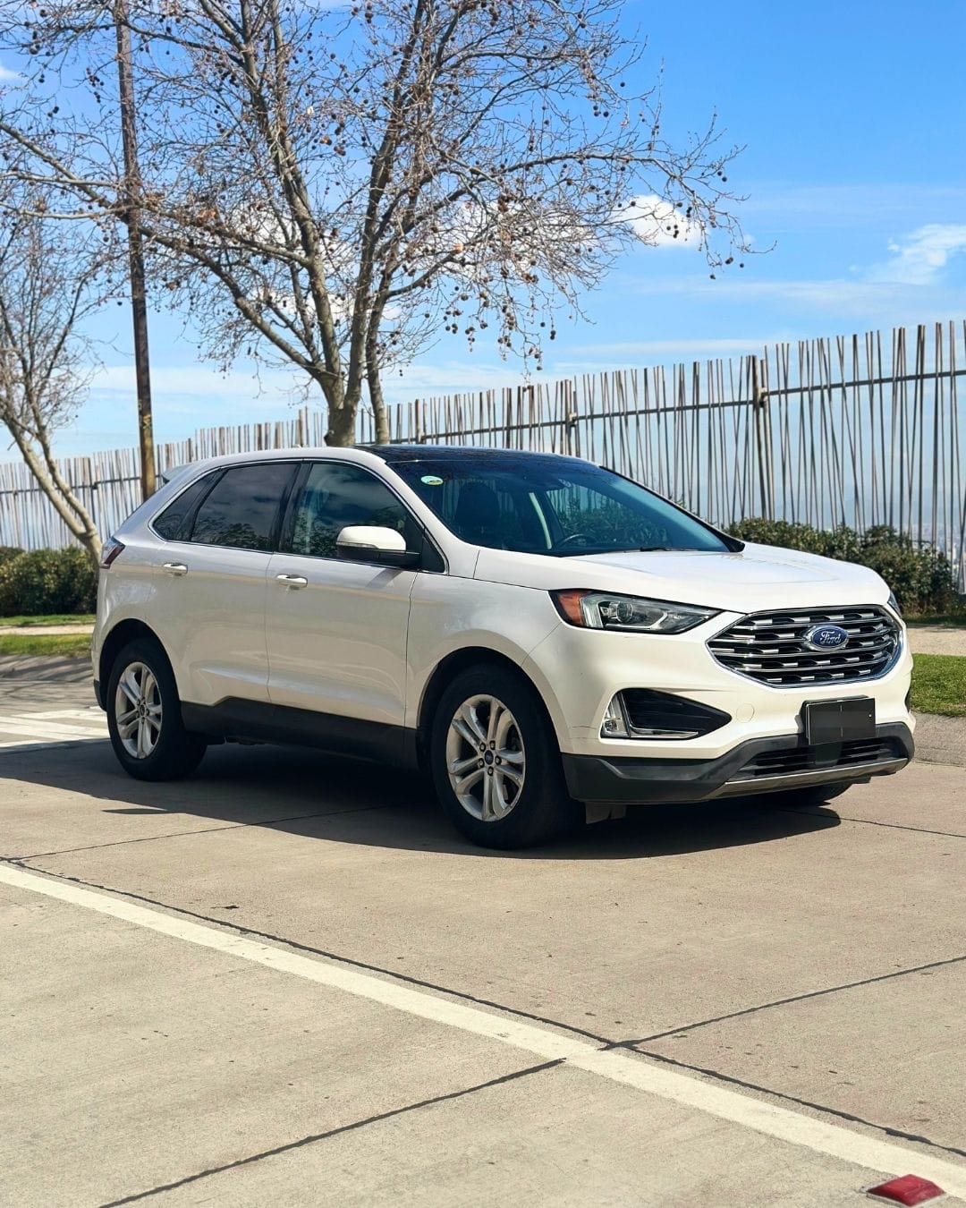 FORD EDGE 2.0 Sel Ecoboost At 4x4 año 2020
