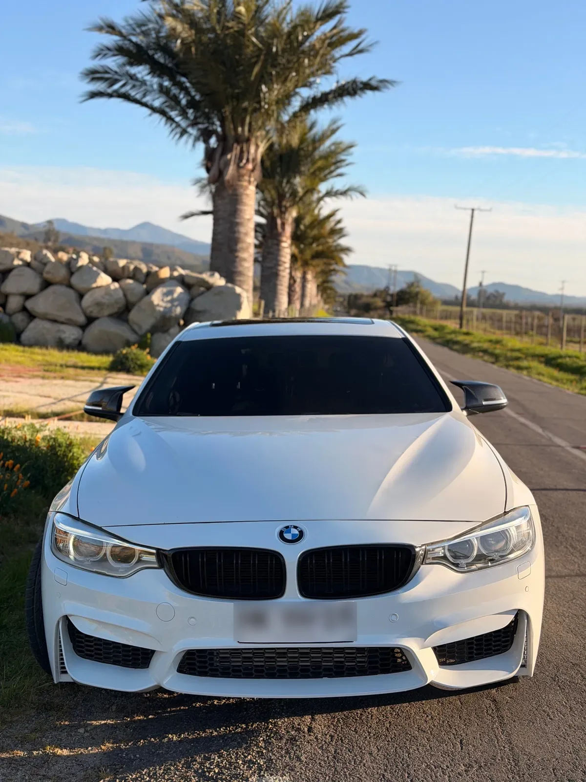 BMW 420 2.0 I Cabrio M Sport At año 2016