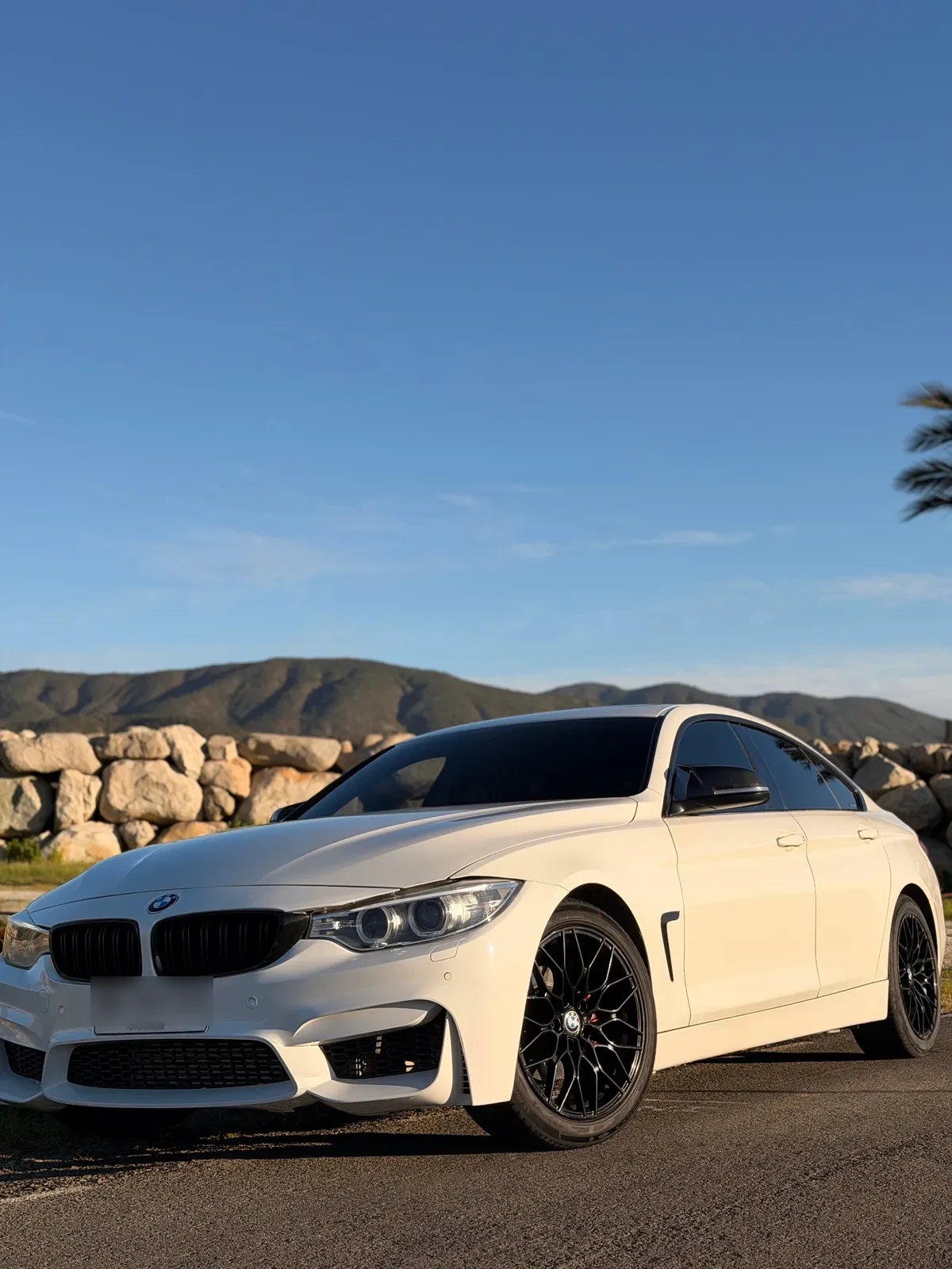 BMW 420 2.0 I Cabrio M Sport At año 2016