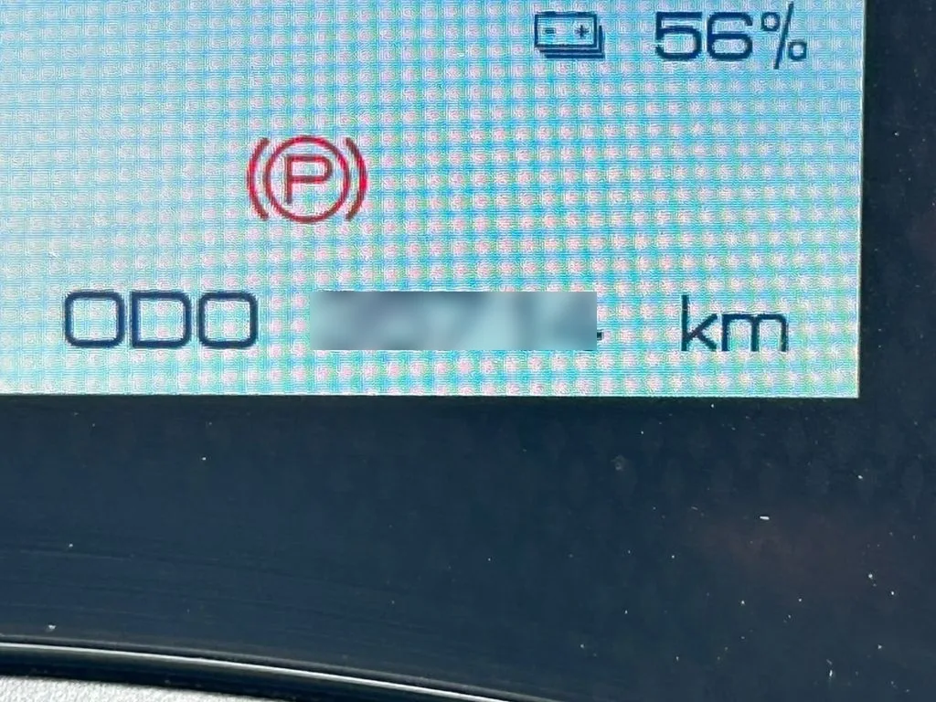 BYD Dolphin Gs año 2024