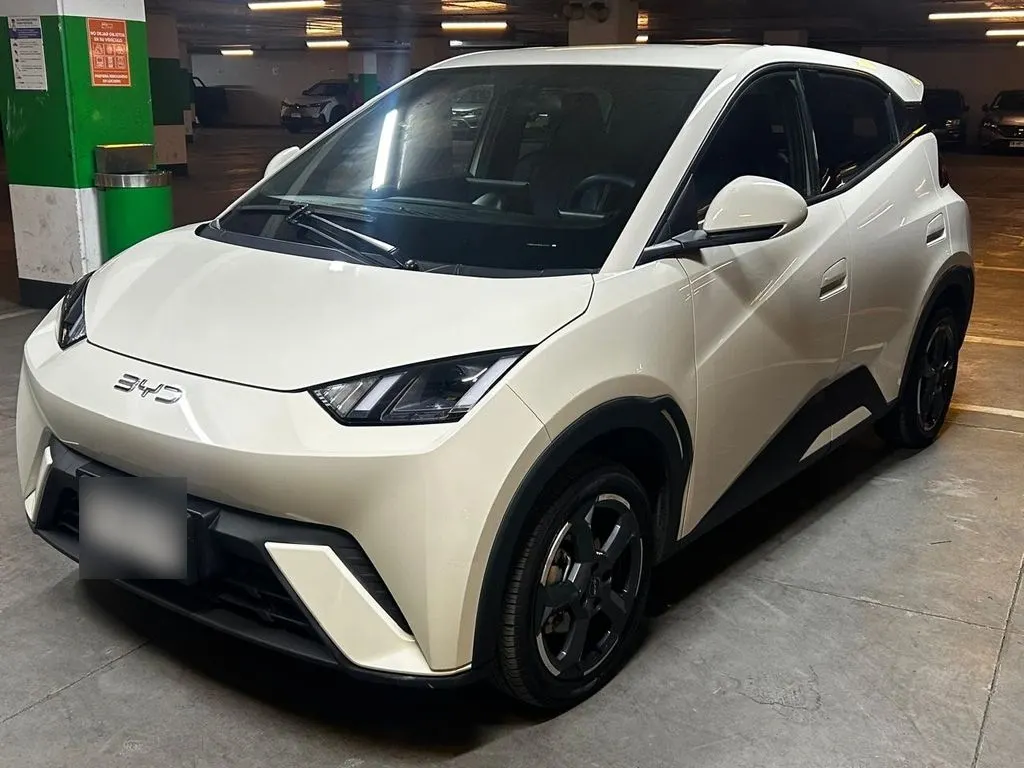 BYD Dolphin Mini Mini Gs Aut año 2024