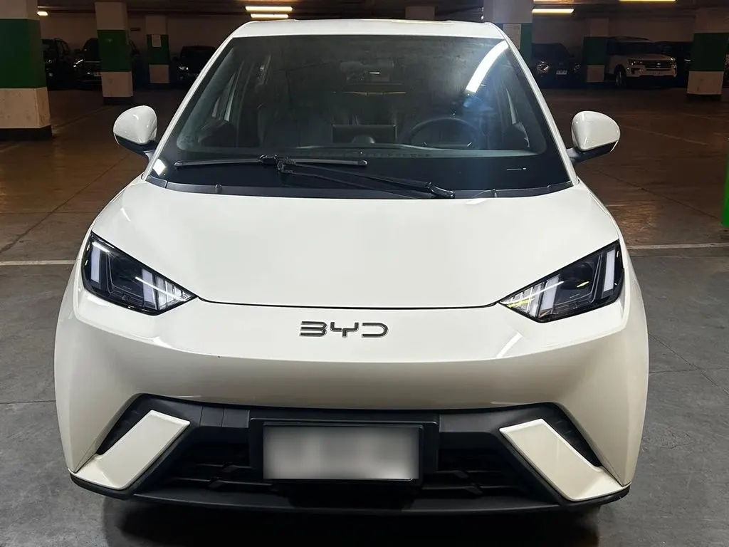 BYD Dolphin Mini Mini Gs Aut año 2024