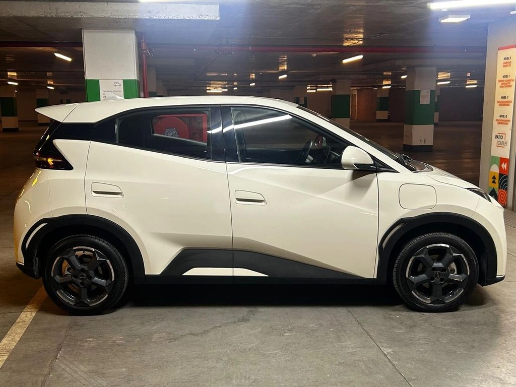 BYD Dolphin Mini Mini Gs Aut año 2024