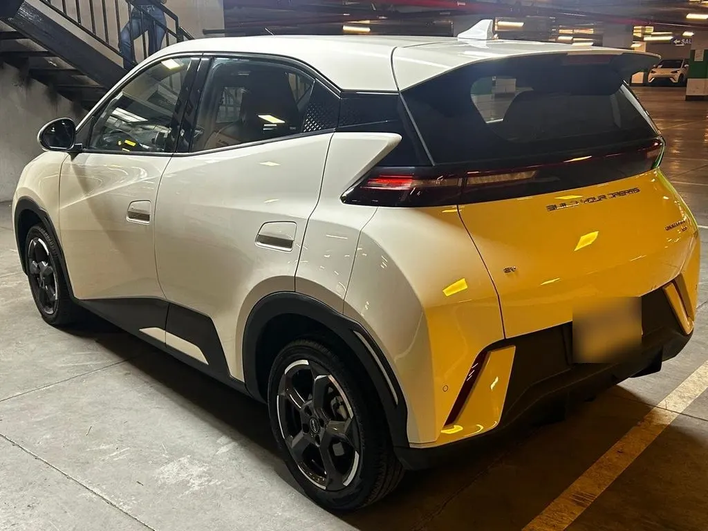 BYD Dolphin Mini Mini Gs Aut año 2024