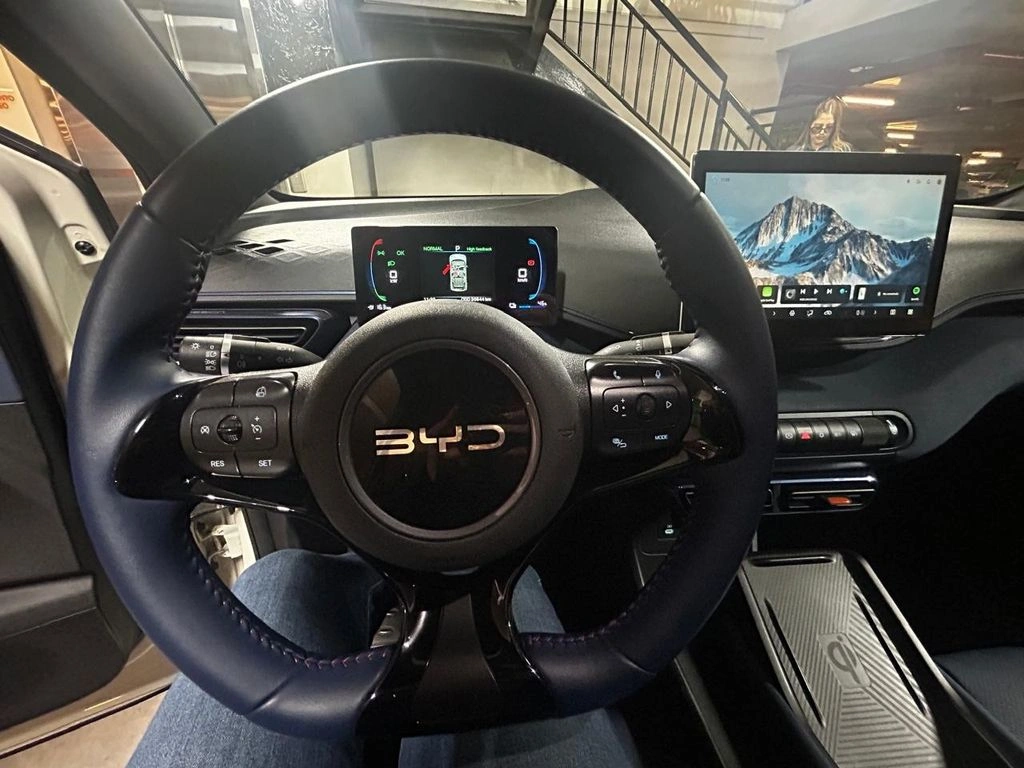 BYD Dolphin Mini Mini Gs Aut año 2024