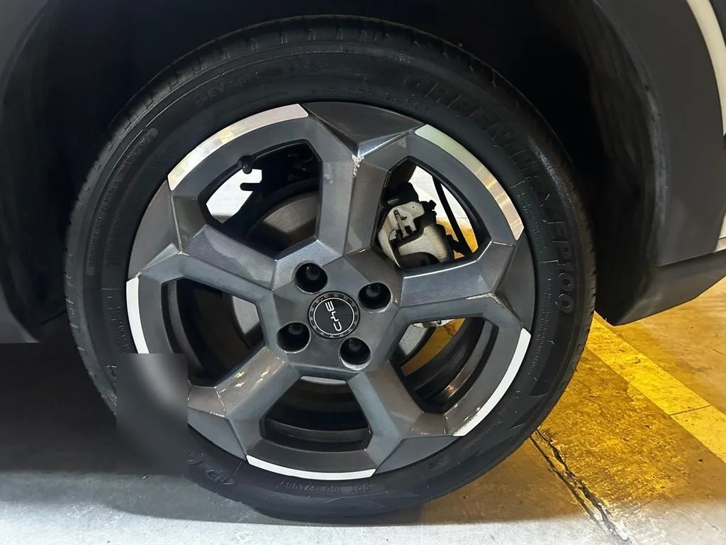 BYD Dolphin Mini Mini Gs Aut año 2024