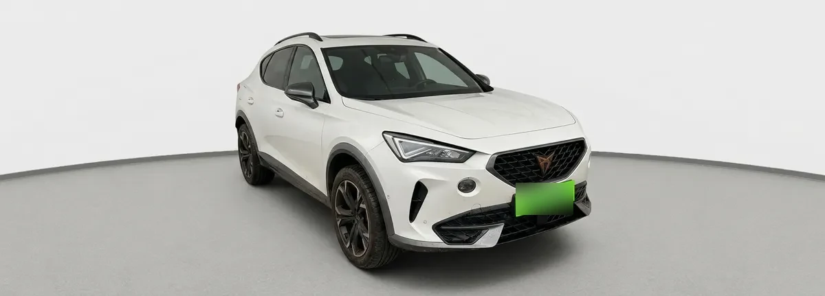 Cupra Formentor 2.0 Tsi 4x2 At 5p año 2024
