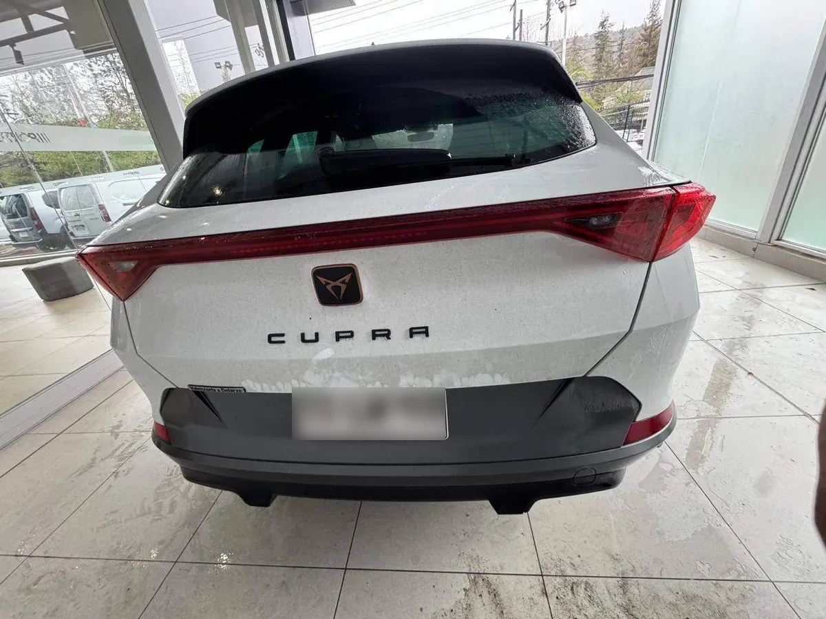 Cupra Formentor 2.0 Tsi 4x2 At 5p año 2024