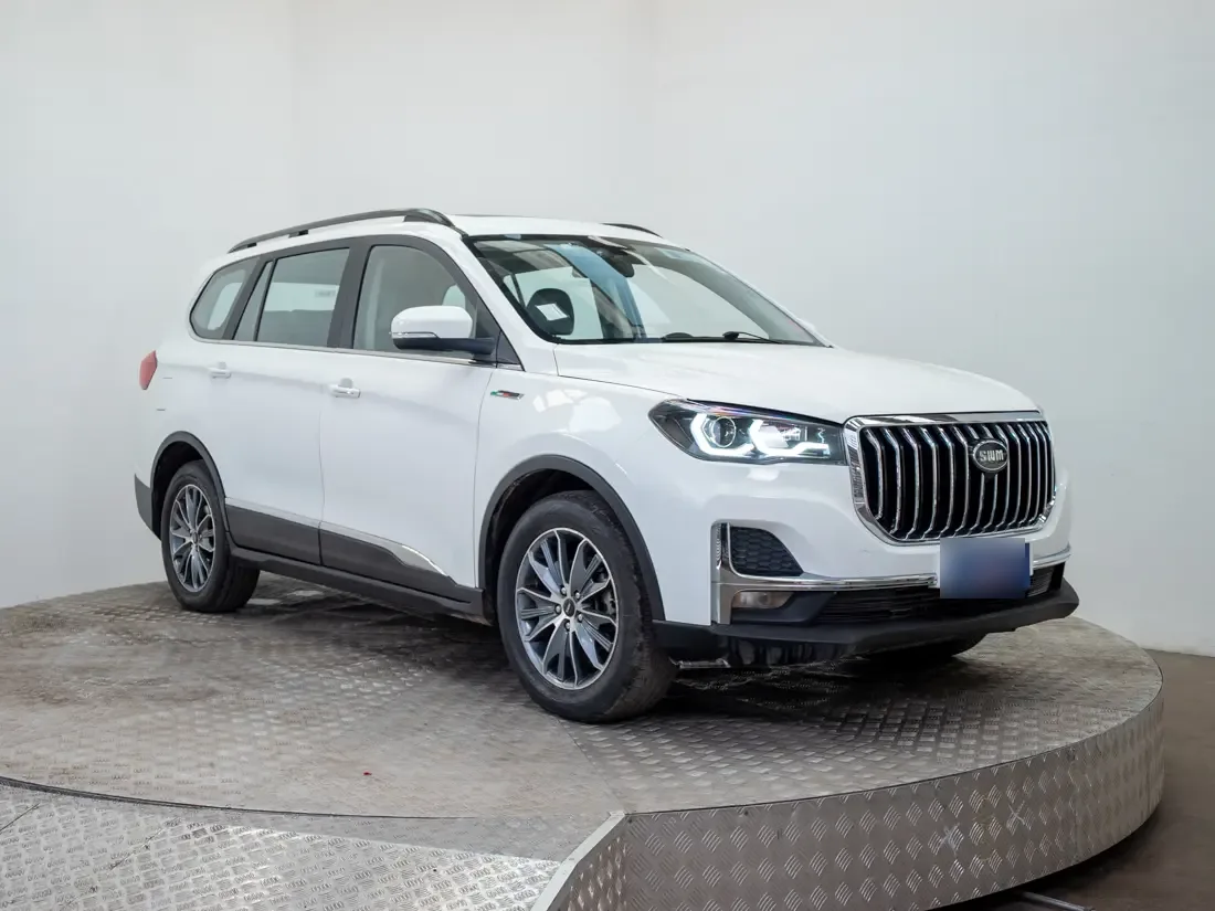 SWM G05 G05 1.5 Pro Luxury Mt año 2024