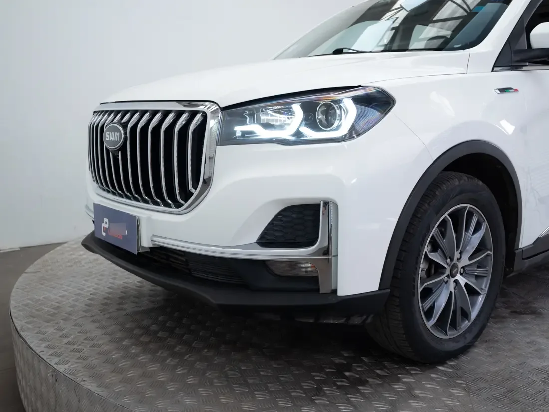 SWM G05 G05 1.5 Pro Luxury Mt año 2024