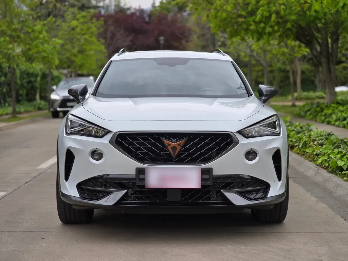 Cupra FORMENTOR 2.0 Tsi Dsg7 At año 2022