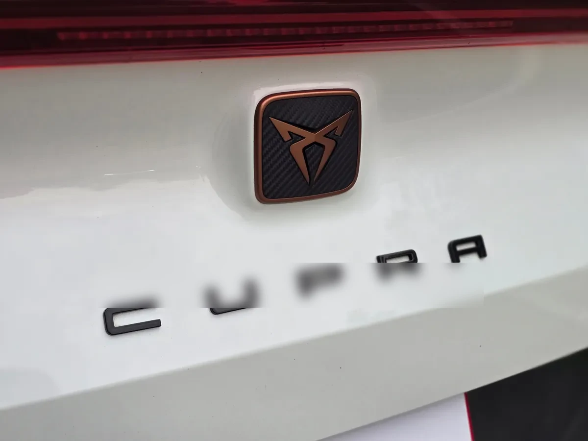 Cupra FORMENTOR 2.0 Tsi Dsg7 At año 2022