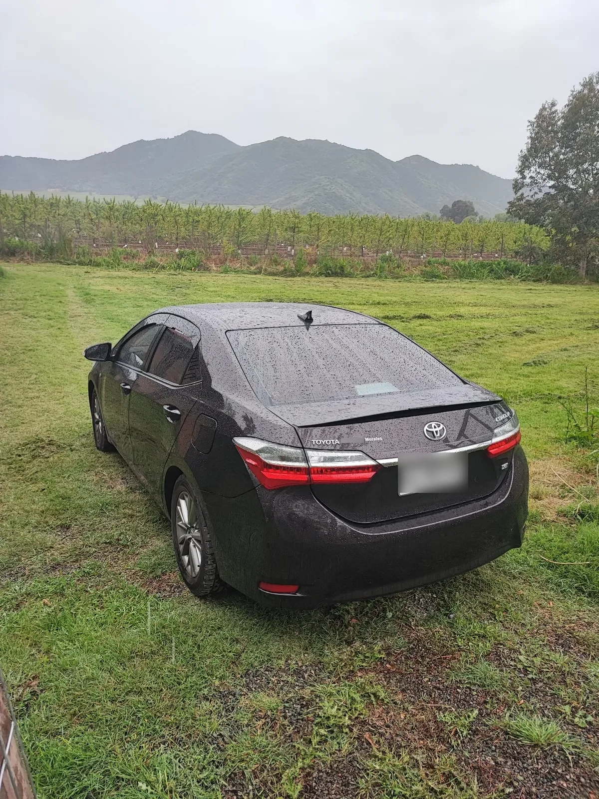TOYOTA COROLLA 1.8 Se-G Cvt 172t1s0 At año 2019