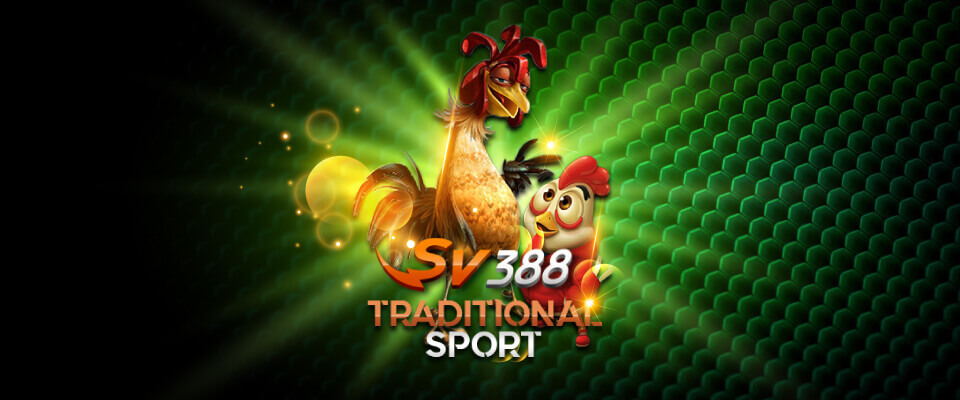 Judi Sabung Ayam Online SV388