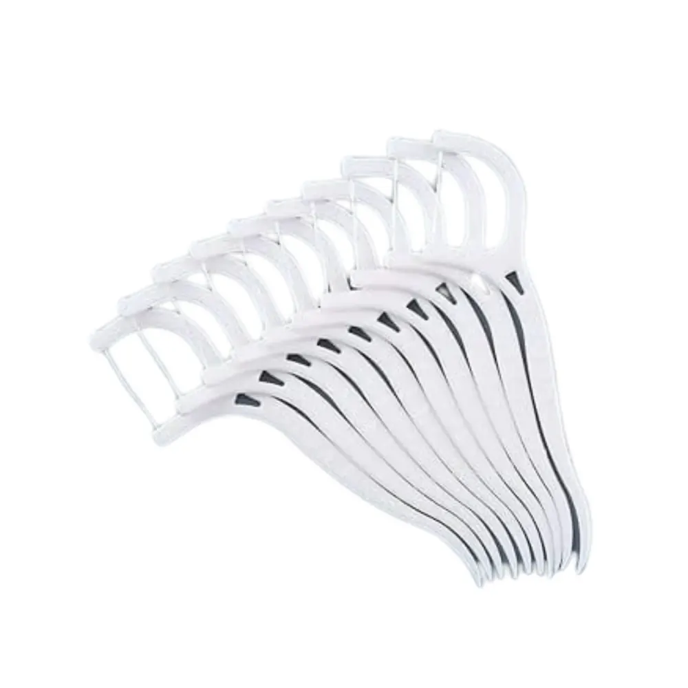Dental Floss Picks, 