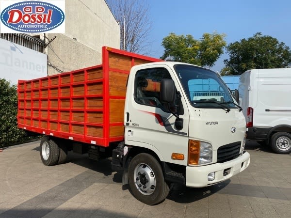 Hyundai HD 65 Otra año 2023
