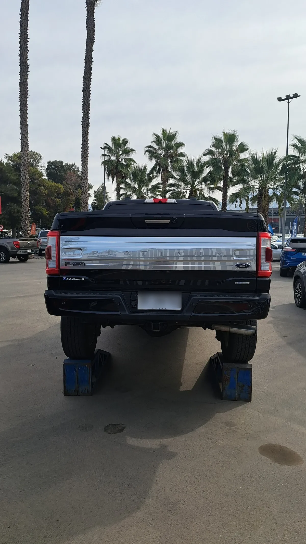 Ford F-150 3.5 Platinum Cc At 4x4 año 2022
