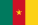 Flag of Cameroon