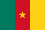 Flag of Cameroon