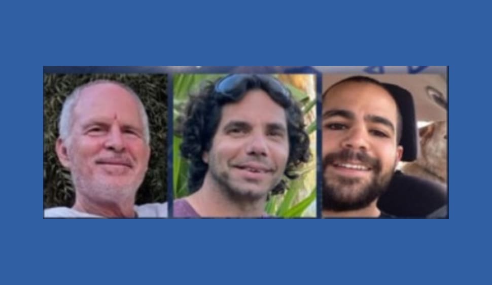 / צילום: ביבס, עופר קלדרון וקית' סיגל"