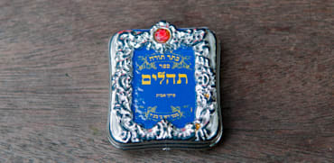 ספר תהילים / צילום: רפי קוץ