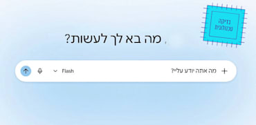 צילום מסך