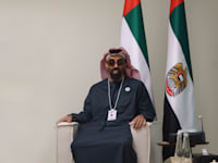 טחנון בן זאיד בן סולטן אל נהיאן / צילום: ap, Evelyn Hockstein