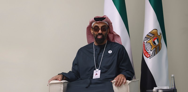 "טחנון בן זאיד בן סולטן אל נהיאן / צילום: ap, Evelyn Hockstein"