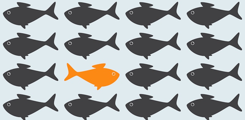 "המדריך למשקיע ששוחה נגד הזרם / צילום: Shutterstock"