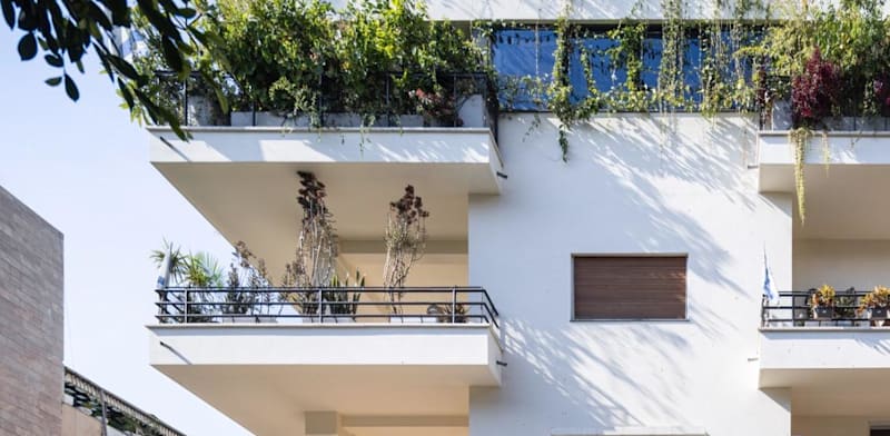 "הפרויקט ברחוב מלצ'ט 3, תל אביב / צילום: חברת אנשי העיר"