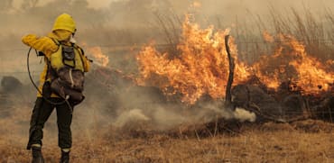 שריפה ביערות בצפון ארגנטינה / צילום: Reuters, Sebastian Toba