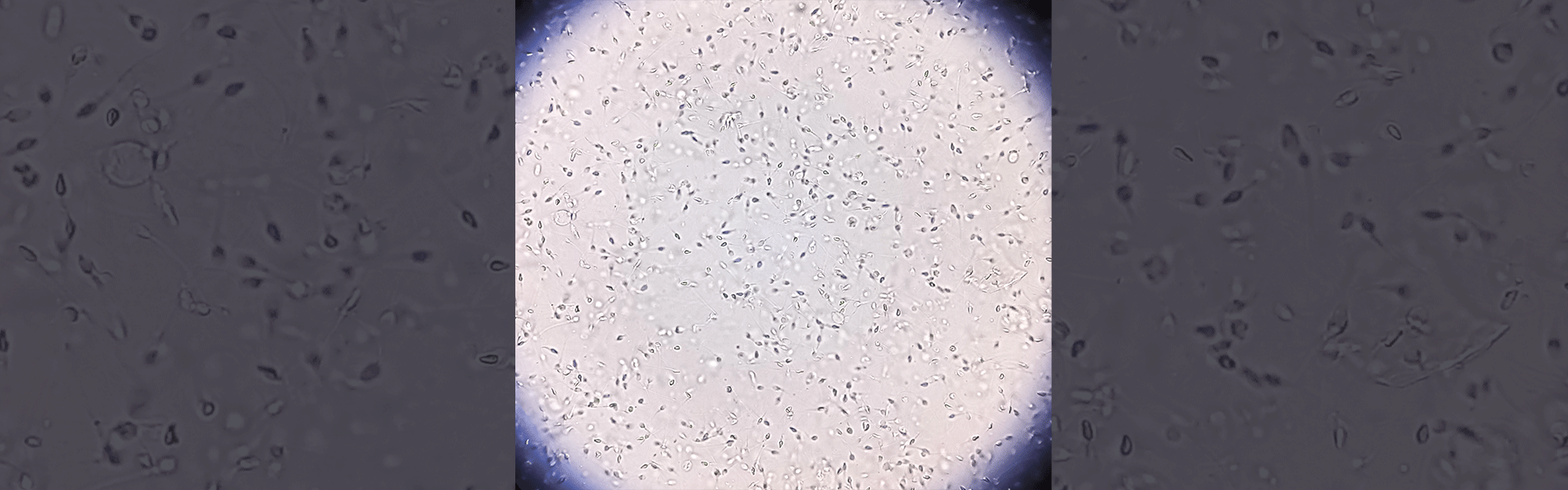 חזית המדע / צילום: Shutterstock