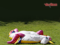 משבר הייטק / צילום: shutterstock