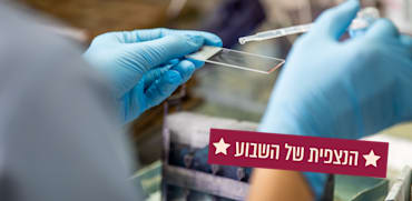 צילום: Shutterstock