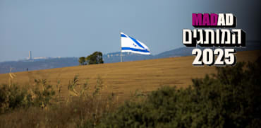 דגל ישראל. איך להיות מותג בישראל? / צילום: שלומי יוסף