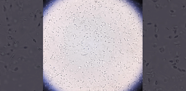 חזית המדע / צילום: Shutterstock