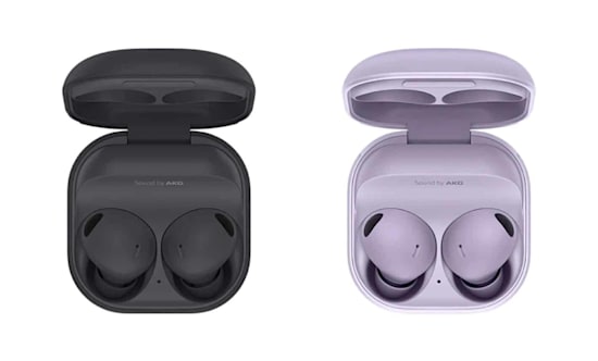 Galaxy Buds 2 Pro / צילום: סמסונג