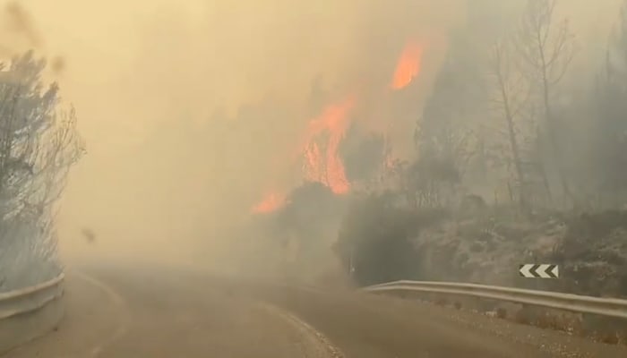 שריפות ליד קריית שמונה / צילום: דוברות מכבי אש/רויטרס