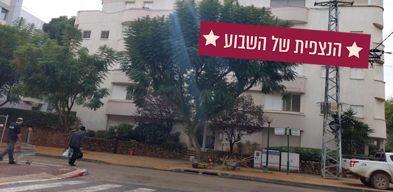 "רחוב בן גוריון, כפר סבא / צילום: איל יצהר"