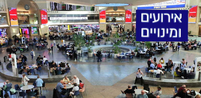 "נתב''ג / צילום: Shutterstock"