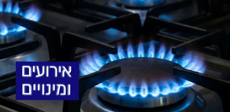 / צילום: Shutterstock"